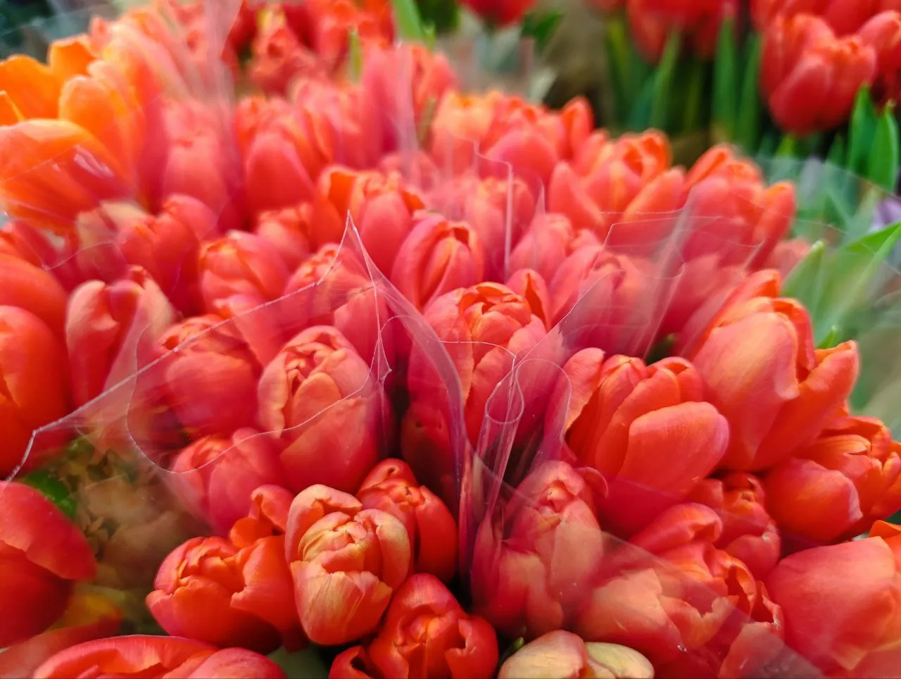 Как подобрать отель с собственным турагентством